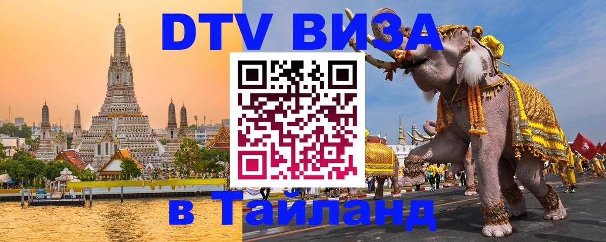 Сколько стоит DTV виза — актуальные цены, оформление даже без документов - Киев  18.11.2025 